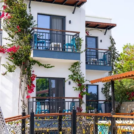 Orion Bodrum