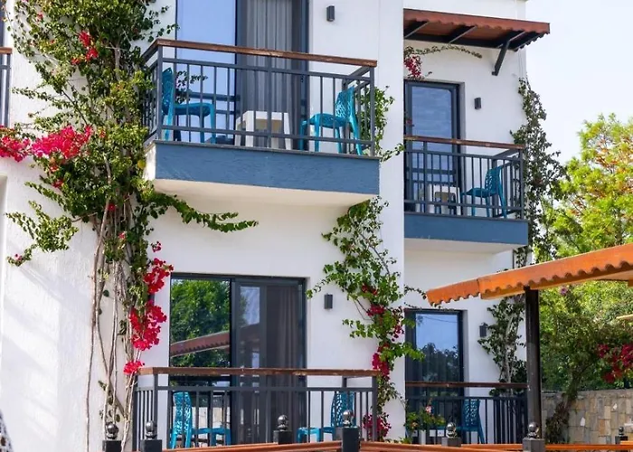 Orion Bodrum