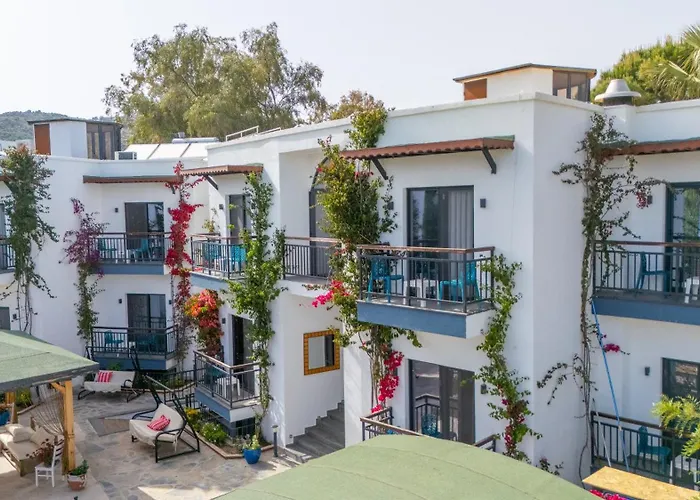 Orion Hotel 3*